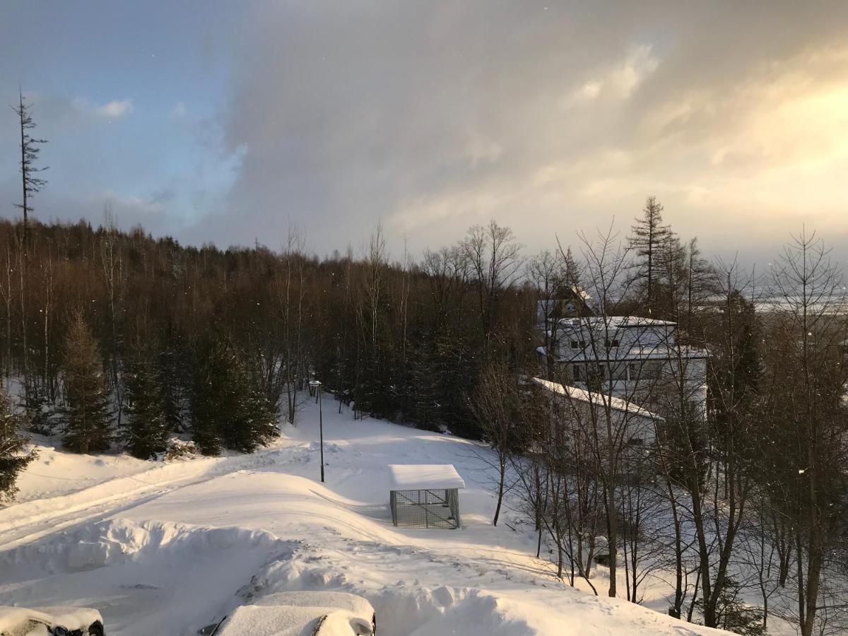 Bellevue Apartments Vila Vlasta Stary Smokovec Vysoké Tatry Exteriér fotografie